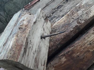 Прикрепленное изображение: 27629101_1533837323403798_4275753930631404384_o.jpg